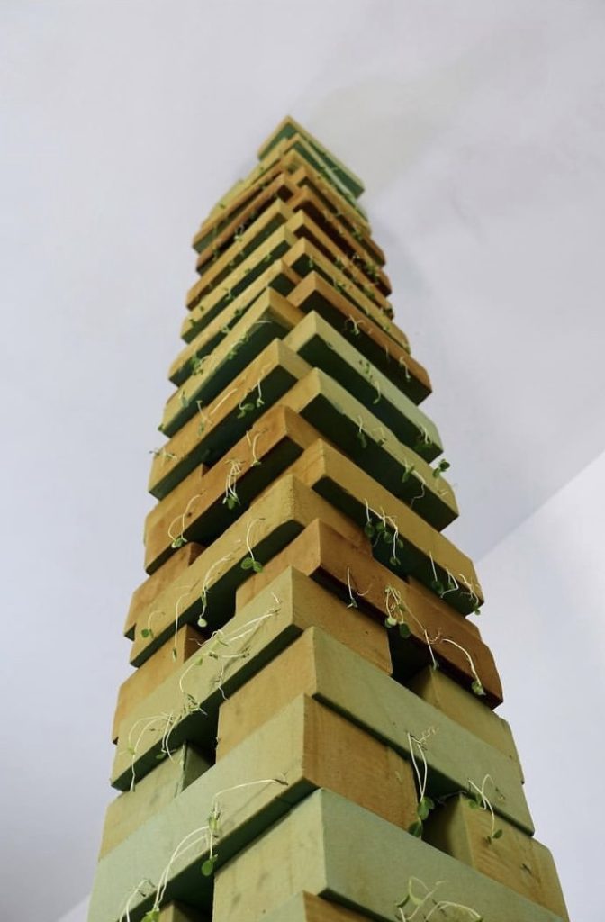 The installation art work <Pillar> by Qian Ningyue” class=”wp-image-1643″/></figure>



<p>Qian Ningyue’s artwork “Pillar”, she planted plant seeds in the flower mud and constantly watered them to help them grow.</p>



<p>The bricks used in the building and the naturally growing plants left behind after demolition attract it. For artists, it is like a symbol, like the unity of “you have me, I have you” in the home. However, due to its strong permeability, plants can only choose to survive and cannot grow during the growth process.</p>



<p>They can only maintain a fixed posture to maintain life, without a complete circulatory system.</p>



<figure class=